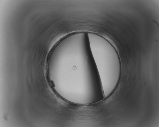 X0000100381093200806060820