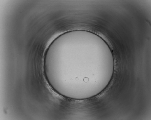 X0000100381094200806060820