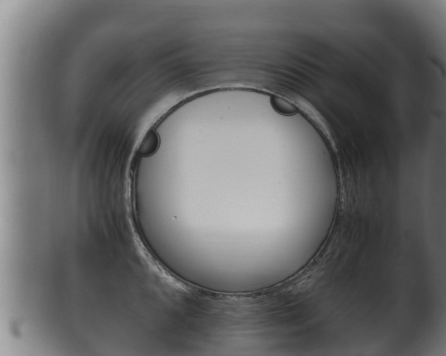 X0000100381096200806060820