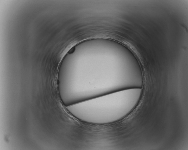 X0000100381097200806060820