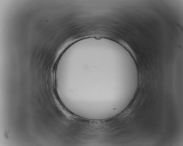 X0000100381099200806060820