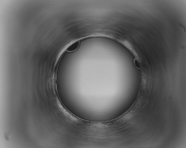 X0000100381100200806060820