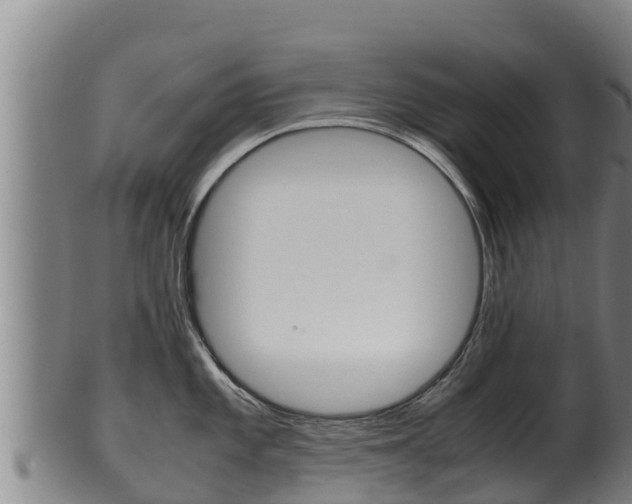 X0000100381101200806060820