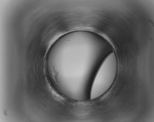 X0000100381102200806060820