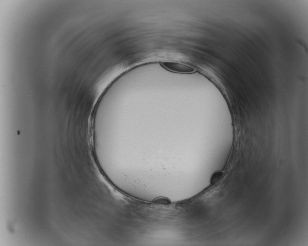 X0000100381103200806060820