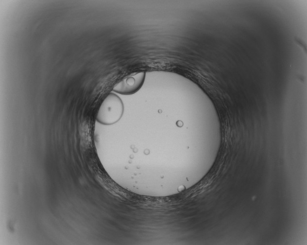 X0000100381106200806060819