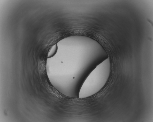 X0000100381107200806060819