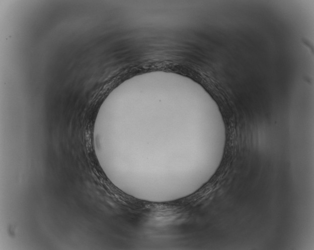 X0000100381109200806060819