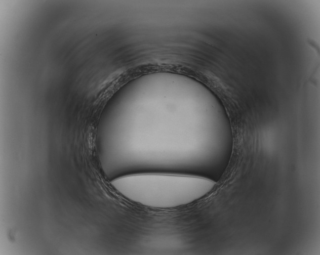 X0000100381110200806060819