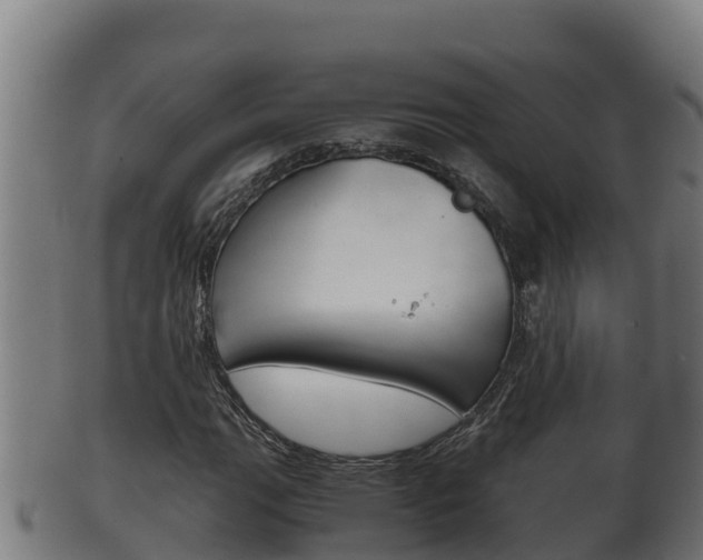 X0000100381111200806060820