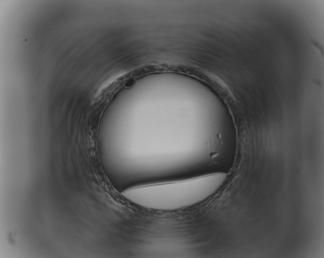 X0000100381112200806060820