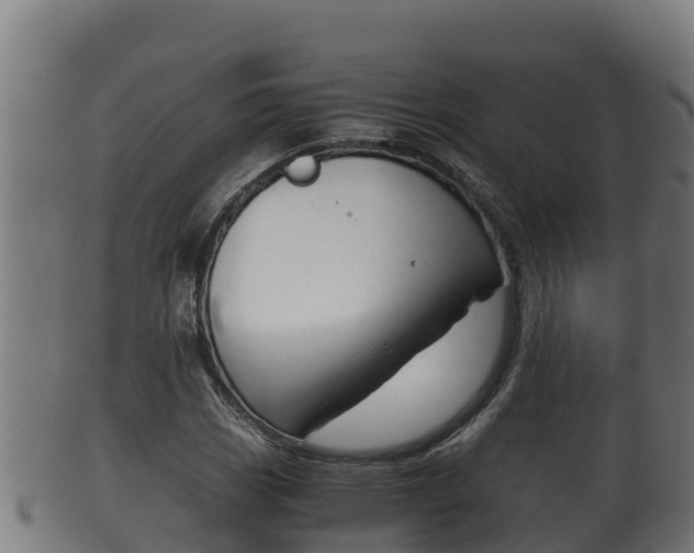 X0000100381113200806060820
