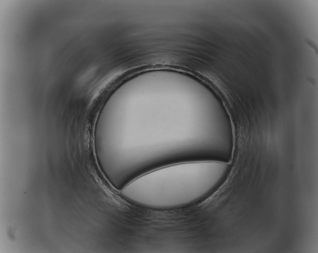 X0000100381115200806060820