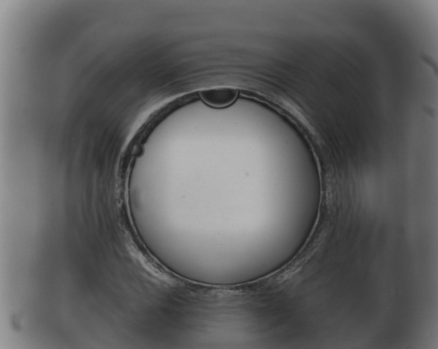 X0000100381116200806060820