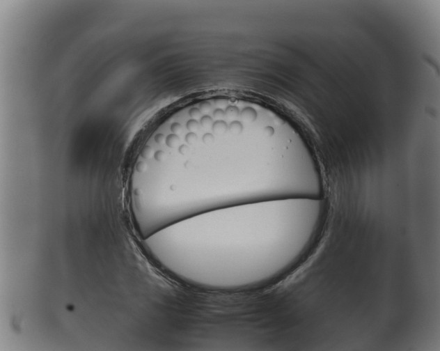 X0000100381117200806060820