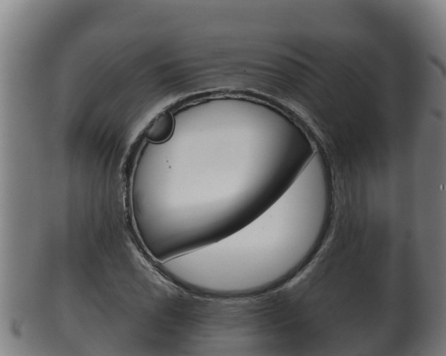 X0000100381118200806060820