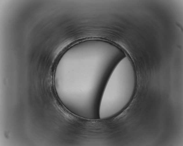 X0000100381119200806060820