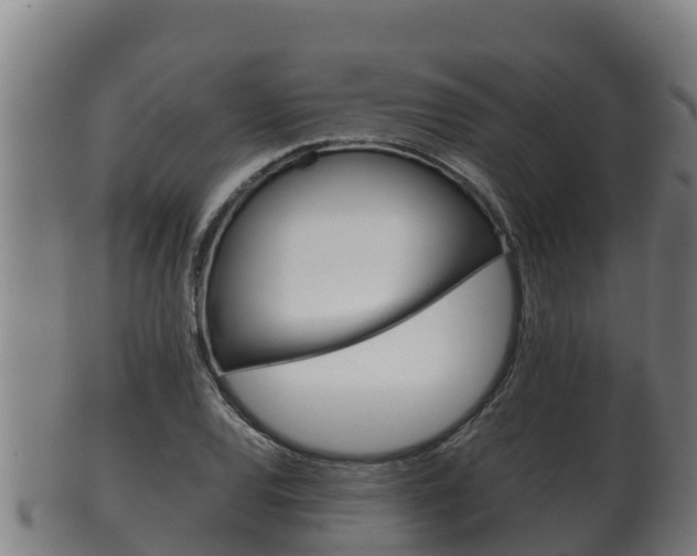 X0000100381120200806060820
