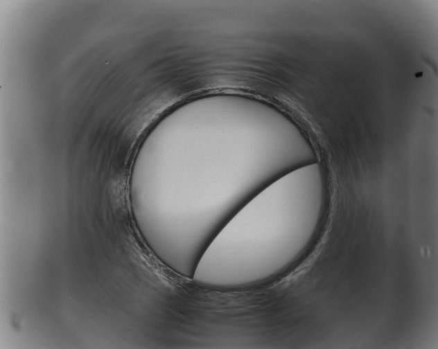 X0000100381121200806060820