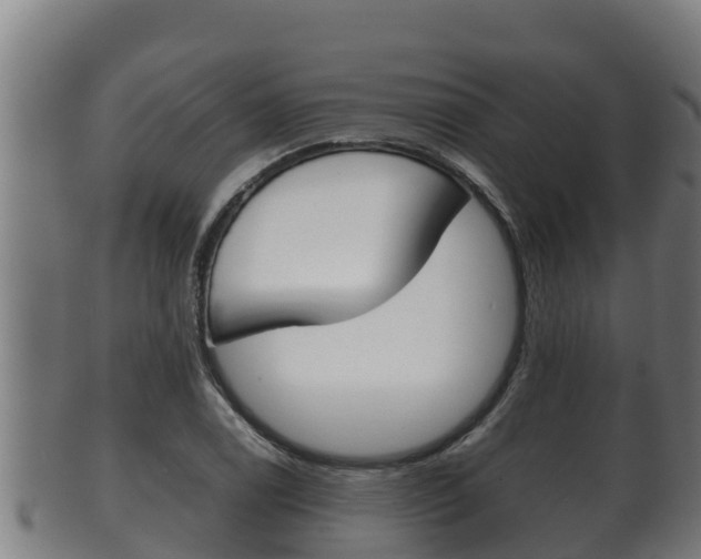 X0000100381122200806060820