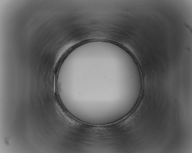 X0000100381123200806060820