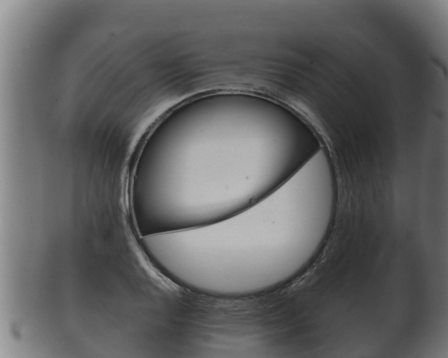 X0000100381128200806060820