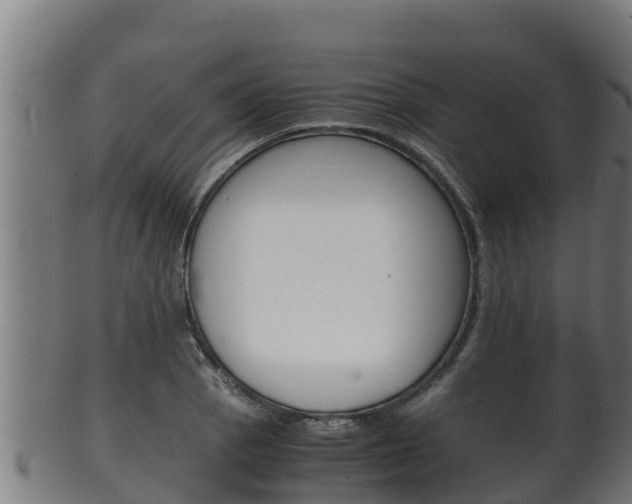 X0000100381129200806060820