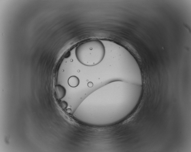 X0000100381130200806060820