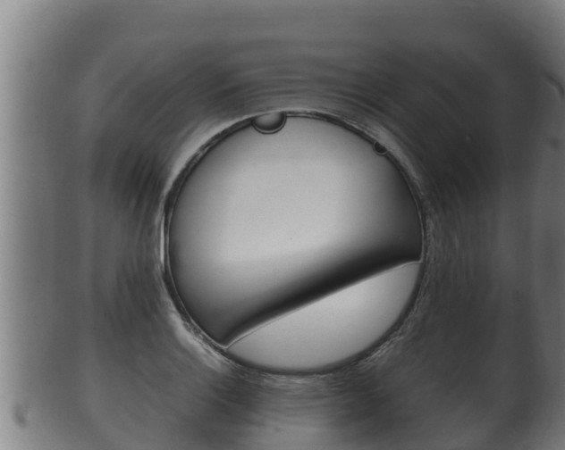 X0000100381132200806060820