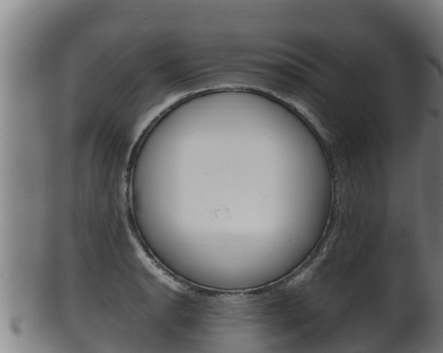 X0000100381134200806060820