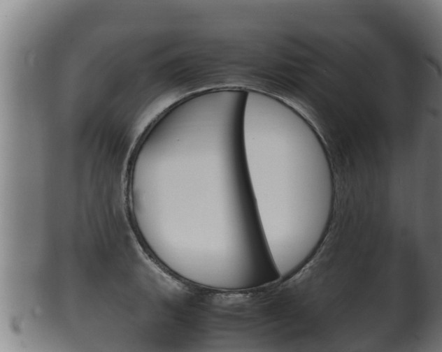 X0000100381135200806060820