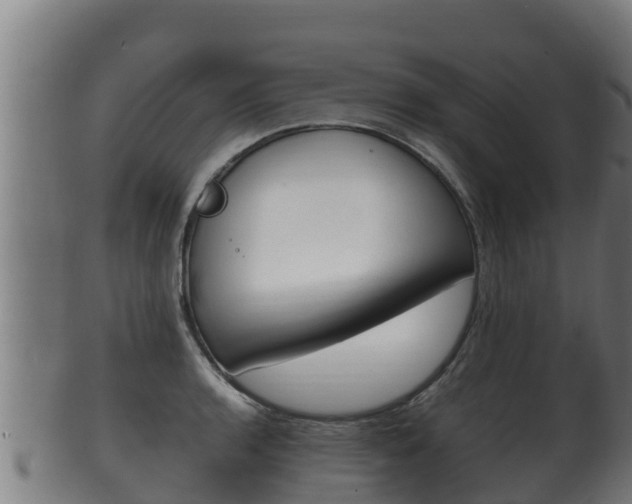 X0000100381136200806060820