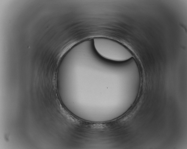 X0000100381137200806060820