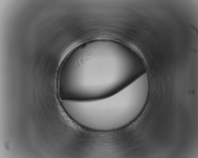 X0000100381138200806060820