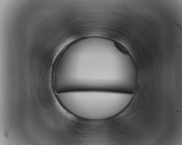 X0000100381139200806060820