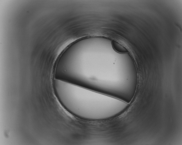 X0000100381141200806060820