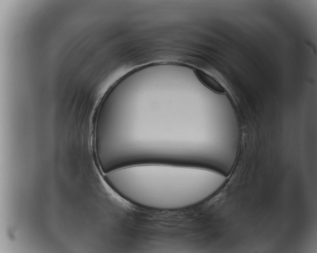 X0000100381143200806060820