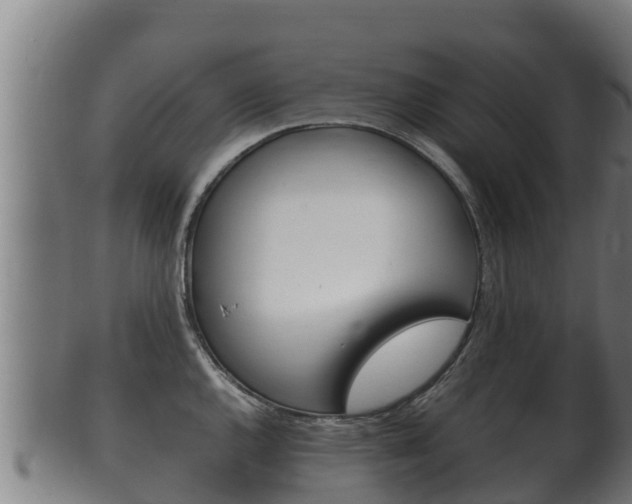 X0000100381144200806060820