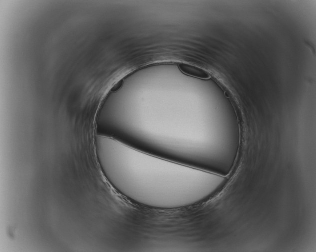 X0000100381145200806060820