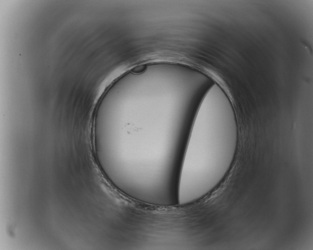 X0000100381146200806060820