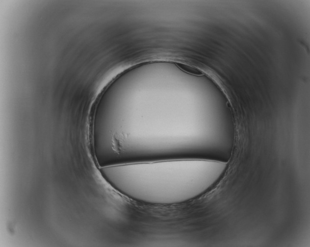 X0000100381147200806060820
