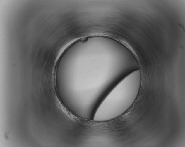 X0000100381148200806060820