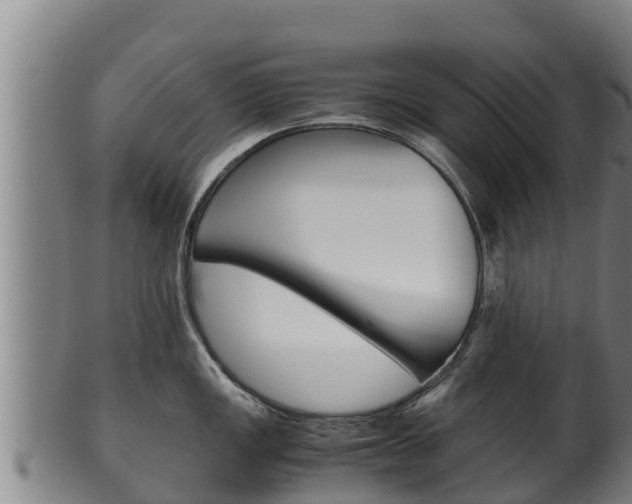 X0000100381149200806060820