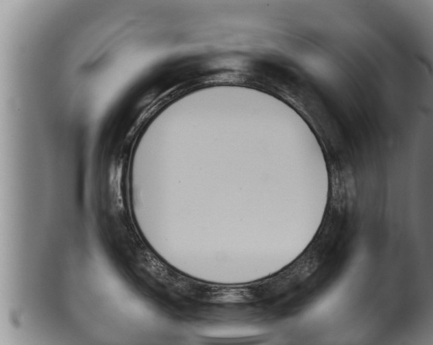 X0000100381150200806060820
