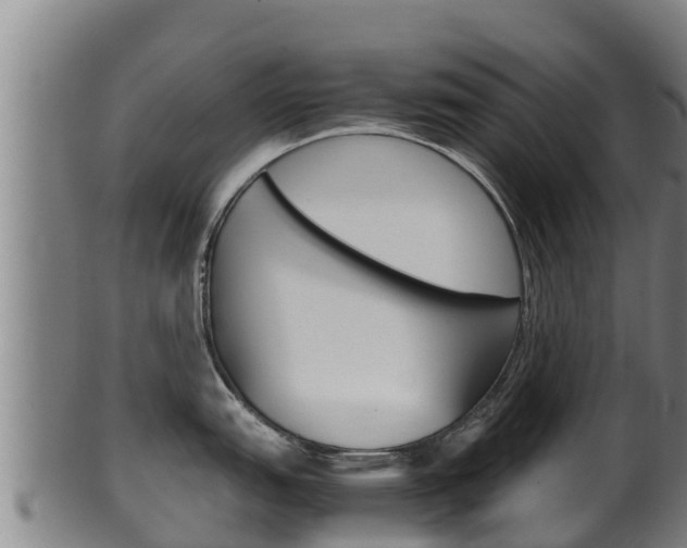 X0000100381151200806060820