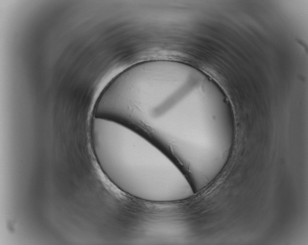 X0000100381152200806060820