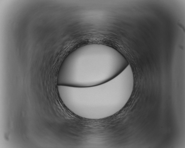 X0000100381153200806060819