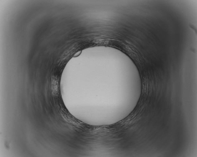 X0000100381154200806060819