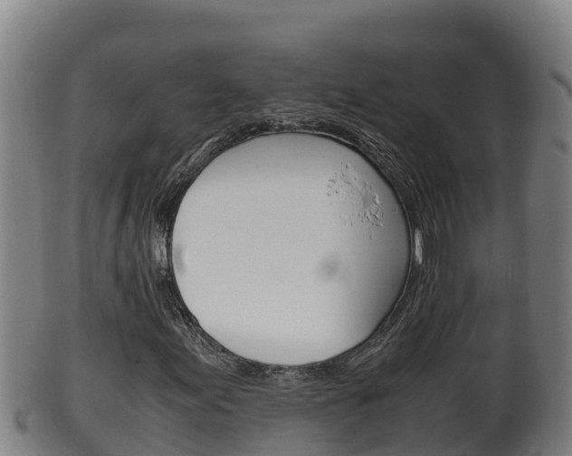 X0000100381155200806060819