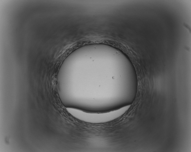 X0000100381157200806060819